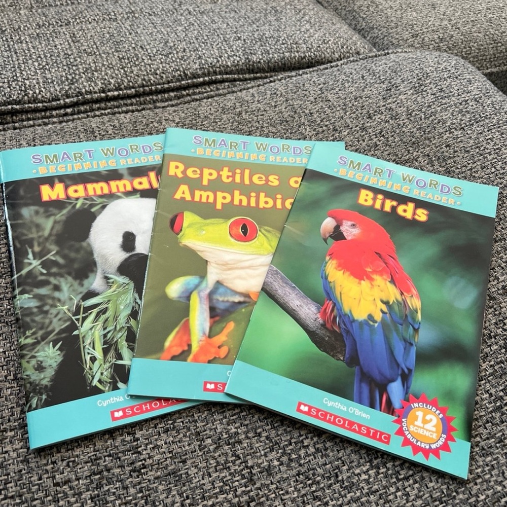 Scholastic Bird Guide with Yellow and Blue Highlights